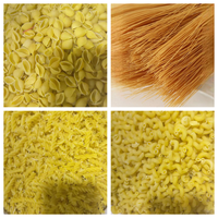 Machine à pâtes spaghetti et macaroni avec différents moules, extrudeuse à pâtes, machine à former des nouilles en tube creux