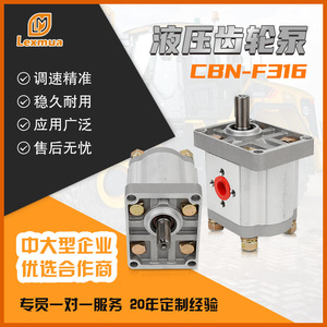 Pompe à engrenages hydraulique Shangze Hydraulics CBN F304 F306 F310 F314 F316 F320 F325 à montage sur bride, entraînement électrique, arbre vertical - Product Image 4