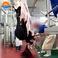 Équipement complet d'abattage de bovins, machines d'abattoir automatiques pour vaches, équipement de ligne de traitement pour abattoirs modernes
