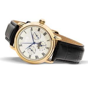 Reloj de Hombre con Caja de Oro Fundido, Logotipo Personalizado, Mecánico Automático, Esfera con Números Romanos, Fondo Transparente, Reloj de Pulsera para Hombre - Product Image 4