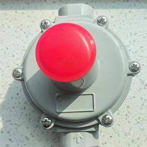 Vanne <span class=keywords><strong>de</strong></span> réduction <span class=keywords><strong>de</strong></span> <span class=keywords><strong>pression</strong></span> <span class=keywords><strong>de</strong></span> gaz naturel pneumatique pour conduite intérieure, stabilisateur pour chaudière à gaz et systèmes d'alimentation en gaz communautaire - Product Image 5