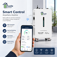Système de stockage d'énergie tout-en-un Fuxile 10 kWh LiFePO4, 6200 W, onde sinusoïdale pure, hybride hors réseau, alimentation solaire de secours pour la maison