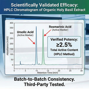 Extracto Natural de Hoja de Albahaca con Alto Contenido de Ácido Ursólico y Ácido Rosmarínico, Polvo de Grado Alimenticio, Directo de Fábrica - Product Image 2