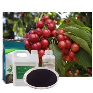 Prix usine Organique Varech <span class=keywords><strong>Poudre</strong></span> <span class=keywords><strong>Engrais</strong></span> Extrait D'<span class=keywords><strong>algues</strong></span> pour L'agriculture Extrait D'<span class=keywords><strong>algues</strong></span> De Qualité Supérieure <span class=keywords><strong>Poudre</strong></span> De Varech - Product Image 3