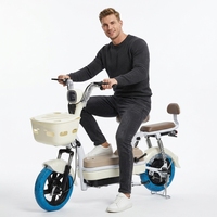 Vélo Électrique Compact 350W 48V 12Ah pour la Ville, Vitesse 35km/h, Roues 14 Pouces, avec Panier et Alarme - Vente en Gros
