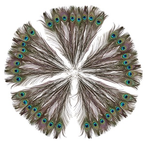 25-100CM Chất Lượng Cao Full Eye Nhân Tạo Ấn Độ Lông Công Lớn Để Bán - Product Image 1