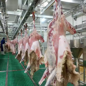 Línea Completa de Sacrificio de Ovejas a Precio de Fábrica, Maquinaria para Mataderos para Plantas de Procesamiento de Carne Halal, Certificación ISO Halal - Product Image 6