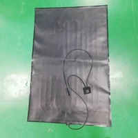 Coussin chauffant personnalisé en PVC 12 V 40x60 cm, chauffage infrarouge lointain en fibre de carbone 12 V avec prise CC pour animaux après chirurgie