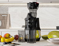 250W Sapcentrifuge, krachtige sapcentrifuge met brede opening van roestvrij staal voor groenten en fruit
