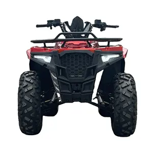 Beliebtes Design Atv Bike Quad und Street Legal Dune für Erwachsene Golf Buggy 300CC ATV