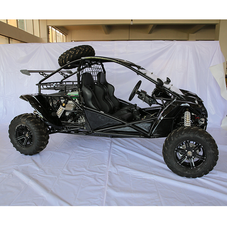 Renli EPA Orang Dewasa Go Karts Balap Jalan Hukum Dune Buggy 4X4 1500cc