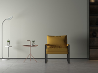 Fauteuil de relaxation confortable pour la réception des invités, le salon, la chambre à coucher
