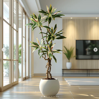 OH ARTS Arbre artificiel en bois de fer brésilien, style naturel, haute qualité, verdure réaliste en pot, décoration intérieure et extérieure pour la maison et le bureau