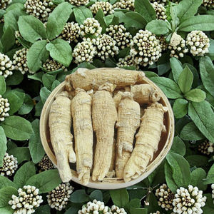 Сушеный необработанный женьшень Си Ян Шэнь, новый урожай, смешанный чай для здоровья, рассыпной, оптом - Product Image 4