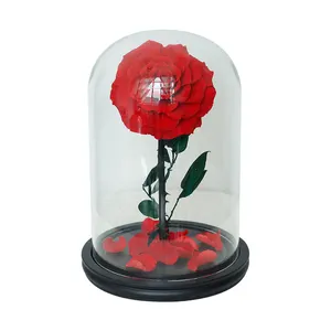 2024 Valentinstagsgeschenk perfekte Sets unsterblich Unendlich ewig für immer stabilisierte konservierte Rosen im Glas