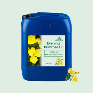 Kostenlose Probe Private Label Reines Natürliches Bio-Nachtprimelöl für Haut- & Körpermassage Hersteller Großhandel Bulk - Product Image 4