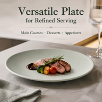 Assiette Moderne en Mélamine Mate Gris Spatial Légère Écologique Sans BPA Compatible Lave-Vaisselle pour Hôtels et Restauration