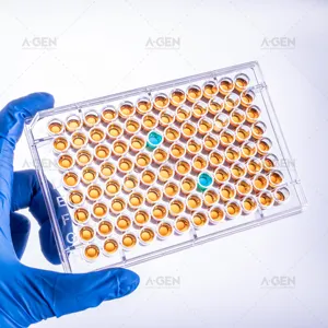 96 Wells Clear Plate High Bind Sterile Elisa Plate Without Lid