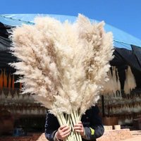 Bunga Kering Alami Buket Rumput Pampas Pink Termasuk Vas Dekorasi Rumah, Grosir untuk Hari Ibu, Natal, Paskah, Penjualan Panas