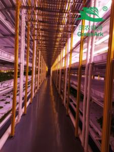 Système de fourrage Système hydroponique vertical Serres agricoles Tour hydroponique verticale Grow Hous - Product Image 3