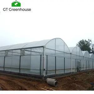 For cucumber tomato galvanized steel truss greenhouse System Top and Sides Ventilation