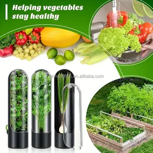 Refrigerator Fresh Keeping Cup Container Fruit Vegetable Crisper Crisper Vanilla Fresh Keeping Cup Herb Saver Keeper