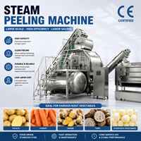 Commerciële stoomschilmachine |   Automatische aardappel- en wortelgroente schilmachines met grote capaciteit