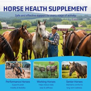 <strong>Horse</strong> Joint Supplement <strong>Glucosamine</strong> MSM Chondroitin Daily Equine Immune Support Easy-to-Feed Soft Chews 750g <strong>for</strong> Large - Product Image 5