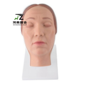 Modèle d'entraînement en silicone de tête humaine pour injections chirurgicales et cosmétiques avec nerfs faciaux et vaisseaux sanguins simulés - Product Image 1