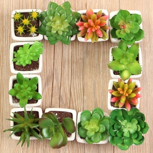 A-3063 Vaso in Ceramica con <span class=keywords><strong>Piante</strong></span> Succulente <span class=keywords><strong>Artificiali</strong></span> per Decorazione d'Interni - Product Image 4