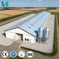 Ferme moderne design poulailler Nouvelle ferme de poulet en acier bon marché avec hangars Abri de ferme avicole bâtiment vente