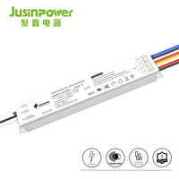 Zigbee Tuya Driver Led, dua saluran dapat diredupkan Driver Led 60W