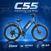 Vélo électrique de livraison en flotte B2B Chamrider 48V 55Ah, pneus larges 26x3.0, couple de 80Nm, frein hydraulique 203mm, vélo cargo électrique C 55