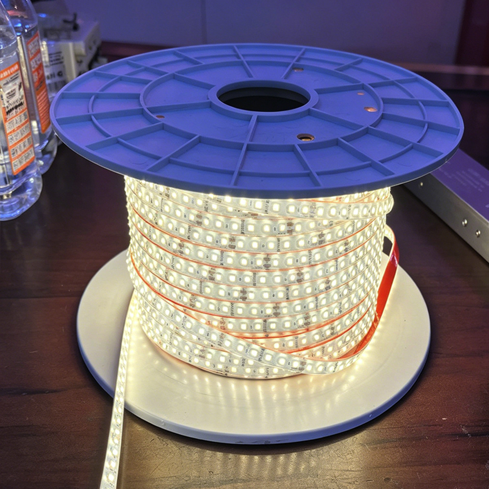 Waterproof Led Strip Lights Led Light Strip for Pools 24V IP68 Waterproof 100M No Voltage Drop 120LEDs/m Luces Led DDID