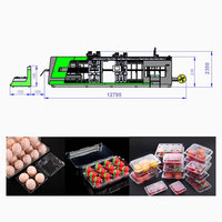 Hete Aanbieding Multi-Station PP/PS/PET Biologisch Afbreekbare Kunststof Voedselverpakking/Lunchbox/Sushibox/Fruitbox Kunststof Thermoformmachine