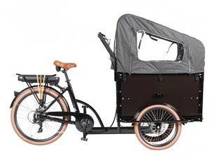 Design olandese triciclo elettrico <span class=keywords><strong>Cargo</strong></span> cabina anteriore per bambini uso famiglia 3 ruote <span class=keywords><strong>bicicletta</strong></span> <span class=keywords><strong>elettrica</strong></span> - Product Image 3