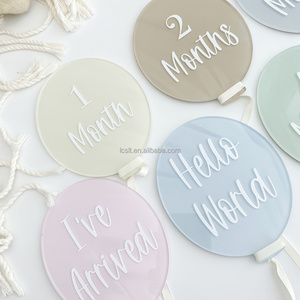 Acrylic Baby Milestones Disc Baby Monthly Milestone Cards Baby Monthly Photo Prop Baby Monthly Milestone Markers - Product Image 1