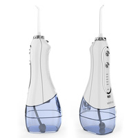 Jet d'eau dentaire rechargeable par Usb 300ML réservoir d'eau étanche nettoyeur de dents Portable irrigateur Oral