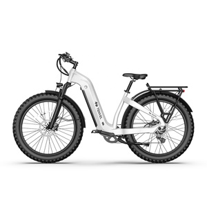USA Warehouse 48v Emtb Moped Retro Hybrid Bike E-Bike Road Dirt E Ebike Mountain Fat Tire MS-1003 Down Tube Battery E-bike MS-10 - Product Image 6