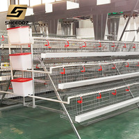 Équipement d'élevage de poulets de type A : Cages de batterie pour élevage, poulaillers pour fermes, poulaillers de couvaison et cages pour poules pondeuses