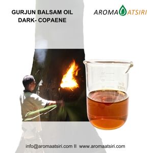 Aceite de Gurjun Puro al por Mayor con Aroma Amaderado y Terroso para Uso en Fragancias - Product Image 2