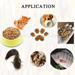 Ad alta produttività galleggiante pesce gamberi mangimi per animali <span class=keywords><strong>domestici</strong></span> uccelli suinetti cibo Mill estrusore granulatore Pellet che fa macchina per la <span class=keywords><strong>vendita</strong></span> - Product Image 4