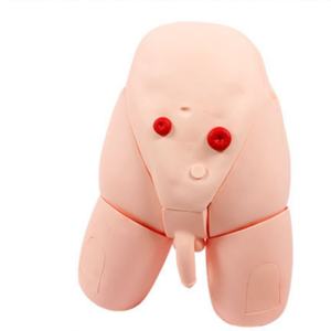 Model Kateterisasi <span class=keywords><strong>PVC</strong></span> Pria dan Wanita yang Dapat Diganti DARHMMY untuk Pelatihan Ilmu Kedokteran di Sekolah dan Rumah Sakit - Product Image 2