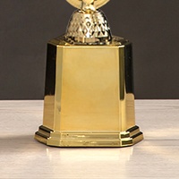 Meilleure Vente : Petit Trophée et Plaque de Sport en Plastique de Haute Qualité avec Médaille et Insigne Doré pour Vainqueurs GD07