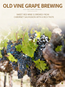 <span class=keywords><strong>Vino</strong></span> Tinto Dulce FASTKING <span class=keywords><strong>de</strong></span> 12 Grados, Rico en Sabor, 500 ml, Embotellado, Grado Shandong, Listo <span class=keywords><strong>para</strong></span> Beber, Personalización Corporativa, <span class=keywords><strong>Compra</strong></span> al por Mayor - Product Image 6