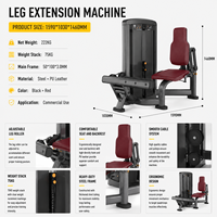 SK- Appareil Commercial d'Extension des Mollets Assis, Acier Q235 3,0 mm, Revêtement Poudré, Équipement de Musculation Sélecteurisé pour Salle de Sport