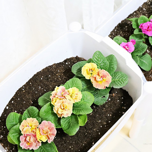 Pot à plantes auto-arrosant de conception ronde, fabriqué en Corée, avec système d'arrosage automatique par le fond et réservoir d'eau, pot moderne pour plantes d'intérieur et de bureau - Product Image 1