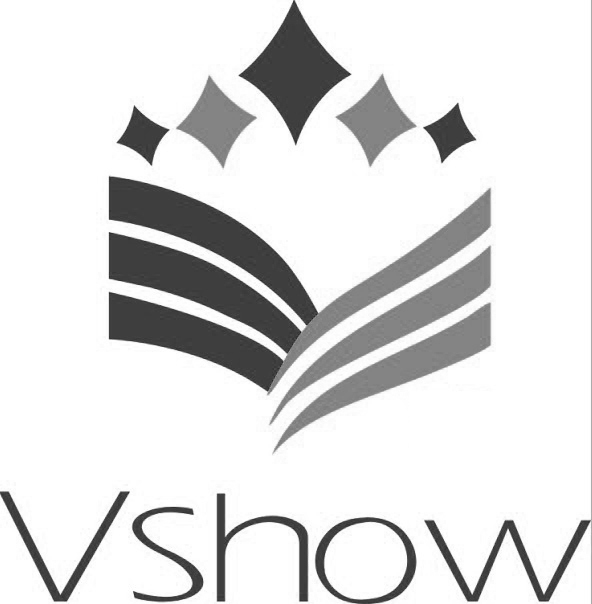 Shenzhen Vshow Industrial Co., Ltd. logo