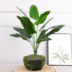 Planta Artificial de Hoja de Plátano Xinxier para Interiores/Exteriores, 60 cm, Decoración de Plástico y Tela con Maceta para Hogar u Oficina (Larga Duración) - Product Image 1