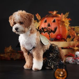 Disfraz de Halloween para mascotas, conjunto de falda y alas de araña negra para perros, venta al por mayor transfronteriza de gran éxito - Product Image 3
